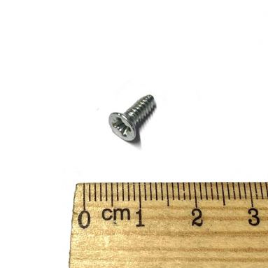 Triumph T160 Rear Caliper Cover Screw